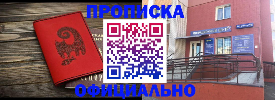 прописка поиск в Купино